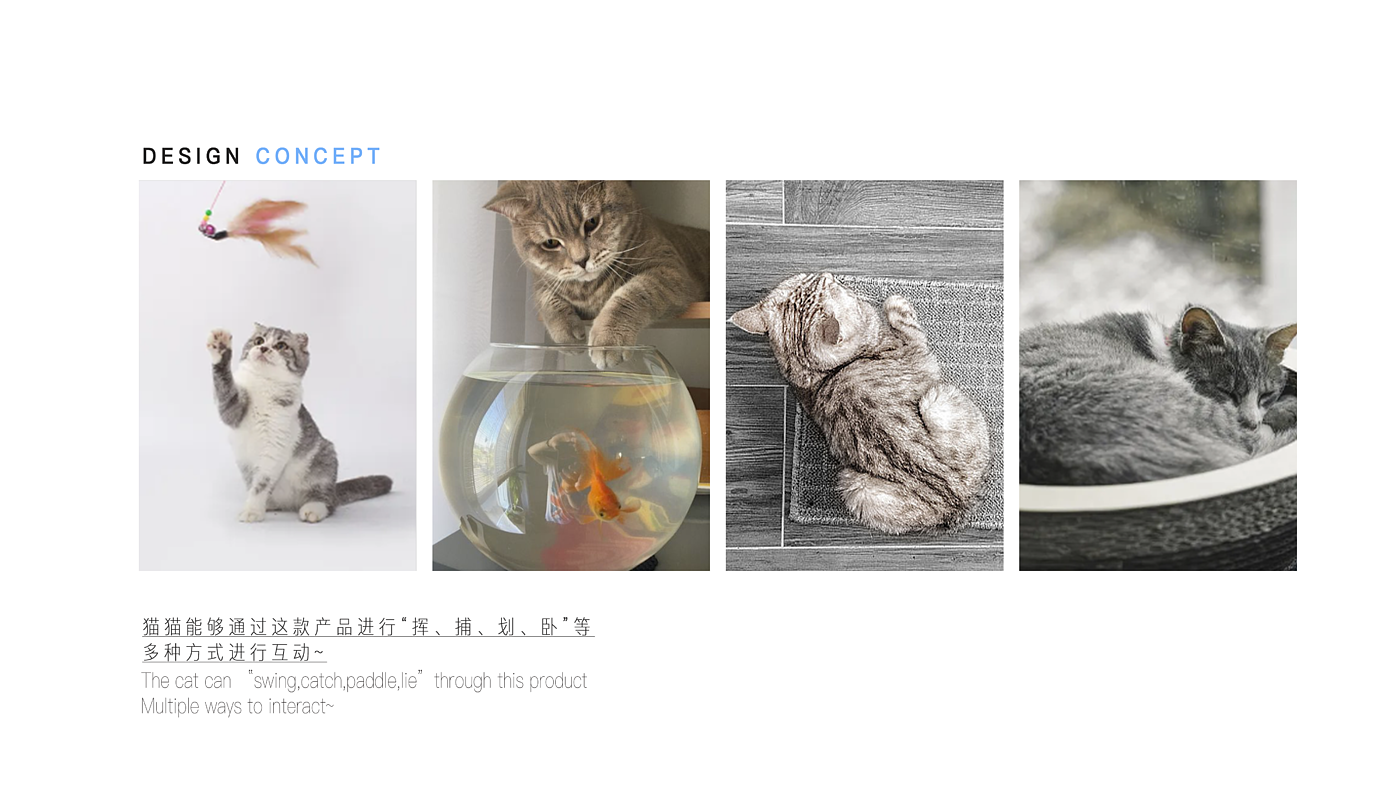 Cat scratch board，Pet design，sample reels，original，keyshot，Render，