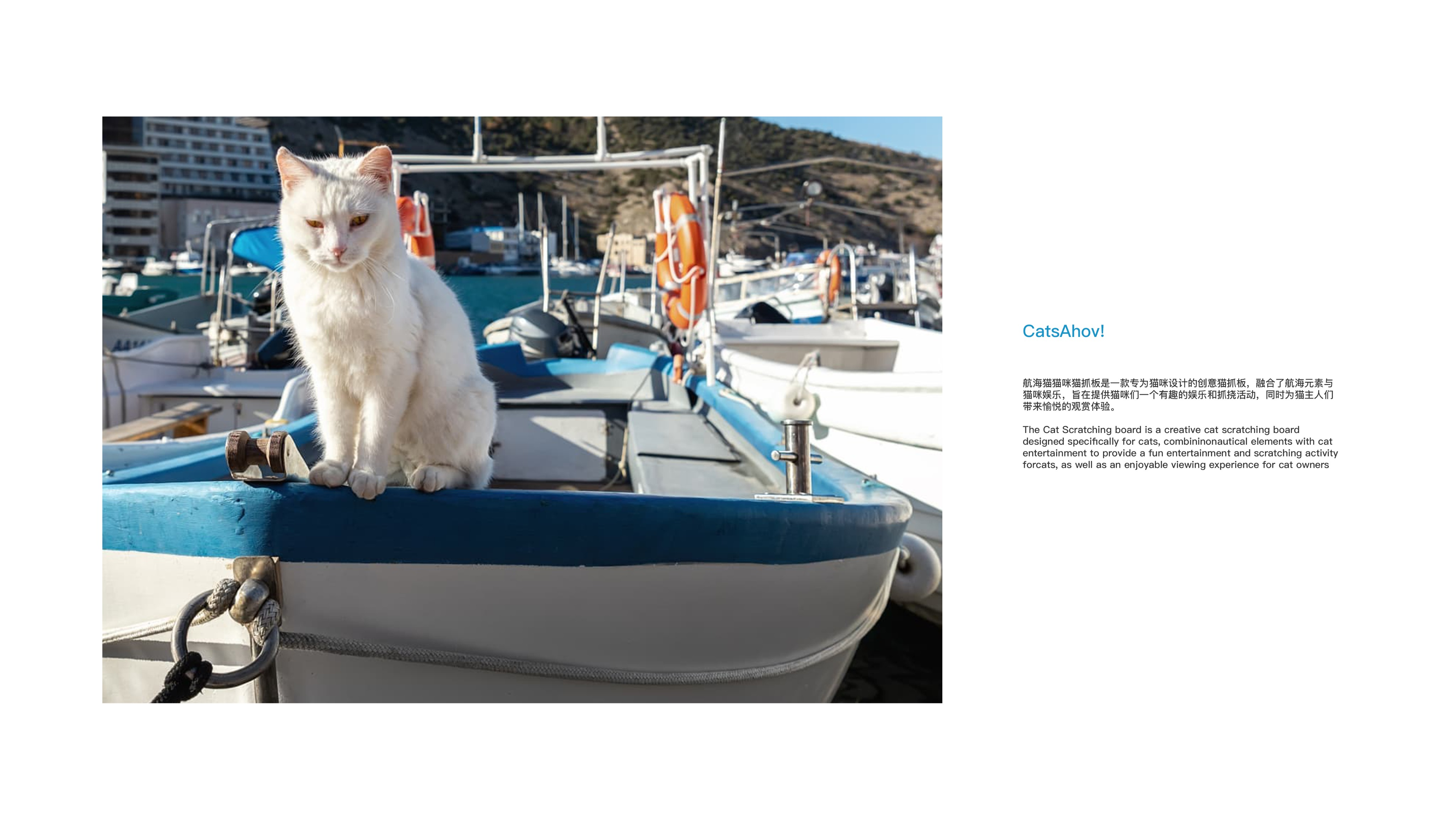 Cat scratch board，Pet design，sample reels，original，keyshot，Render，
