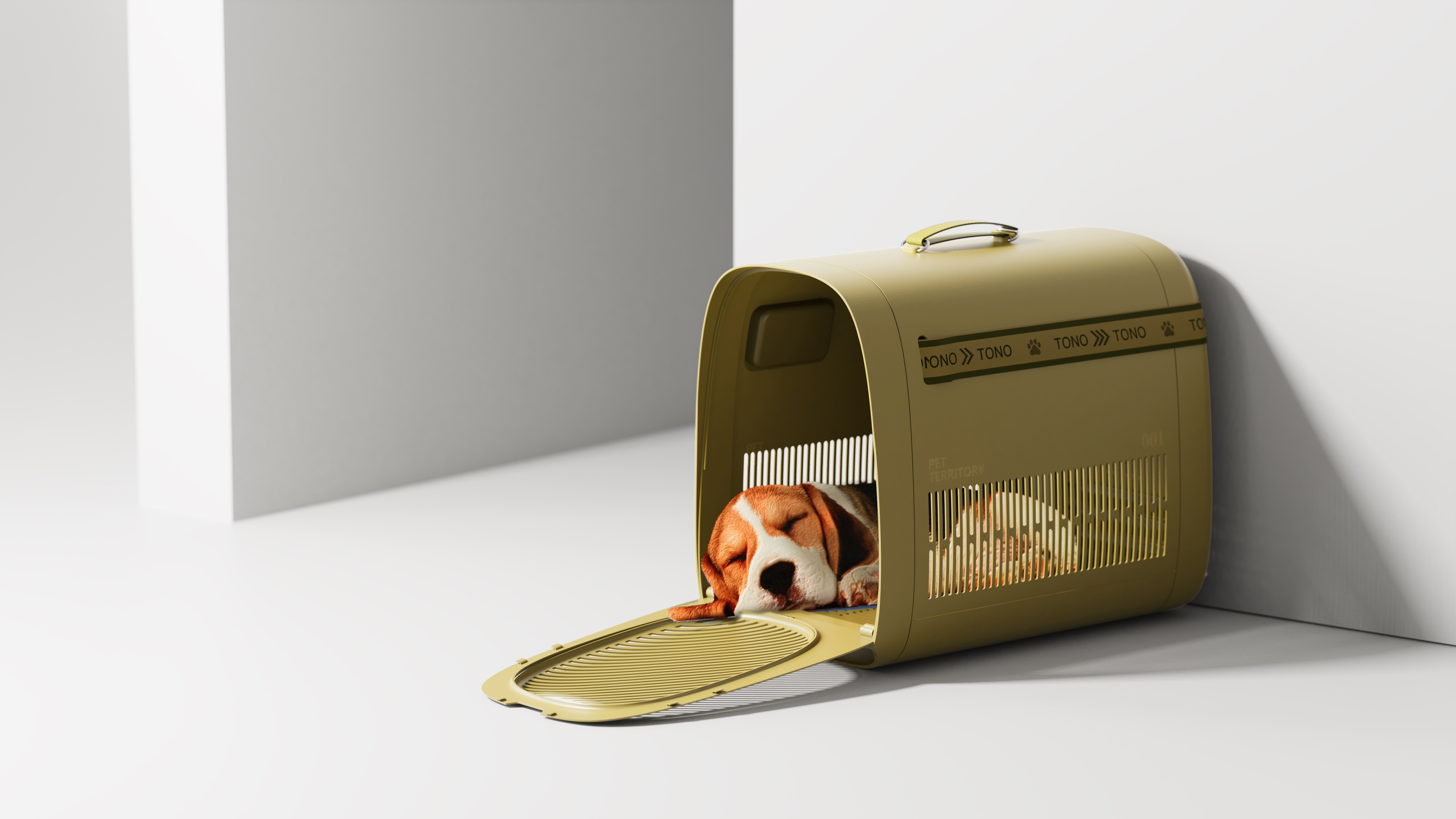 product design，Home design，Pet design，Travel box，keyshot，Render，