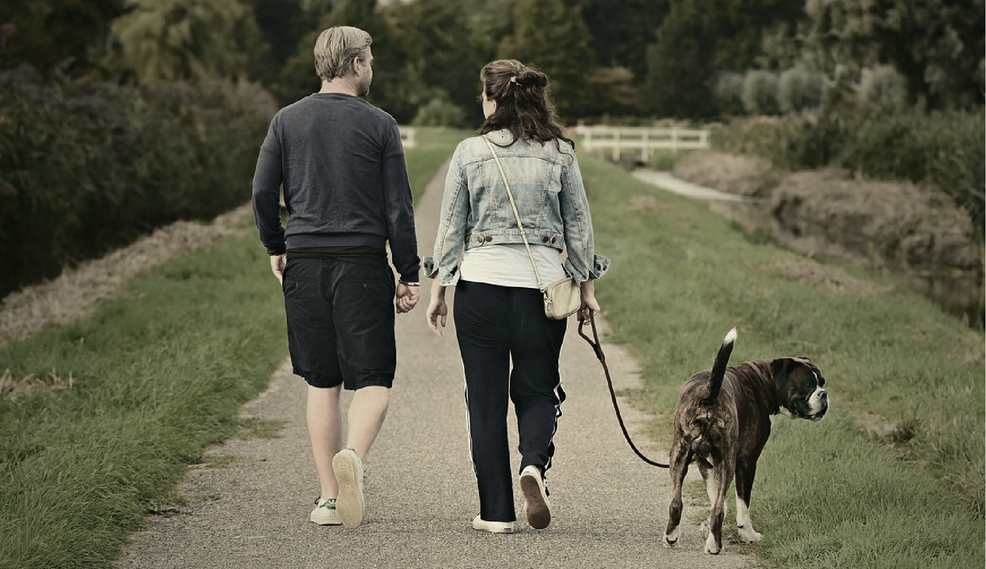 product design，Home design，Pet design，Travel box，keyshot，Render，