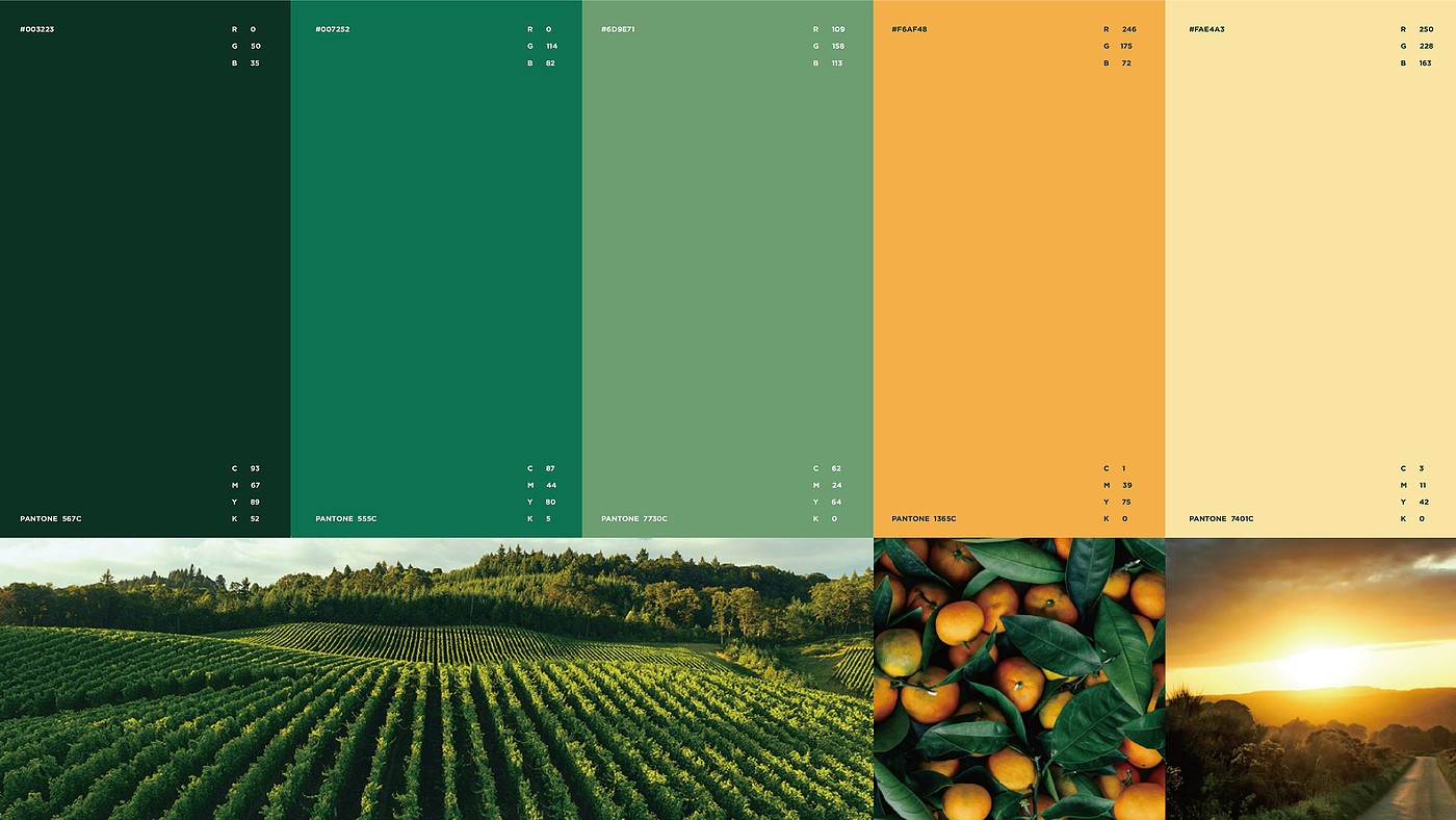 Brand design，
