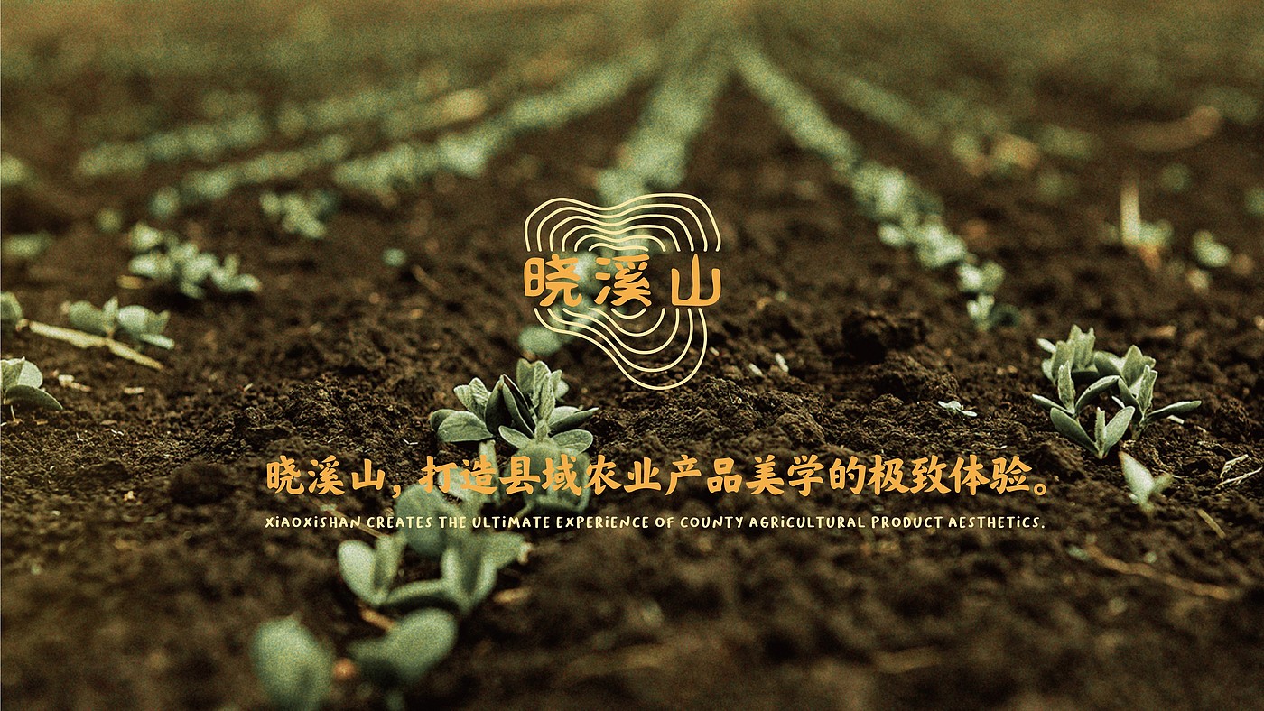 Brand design，