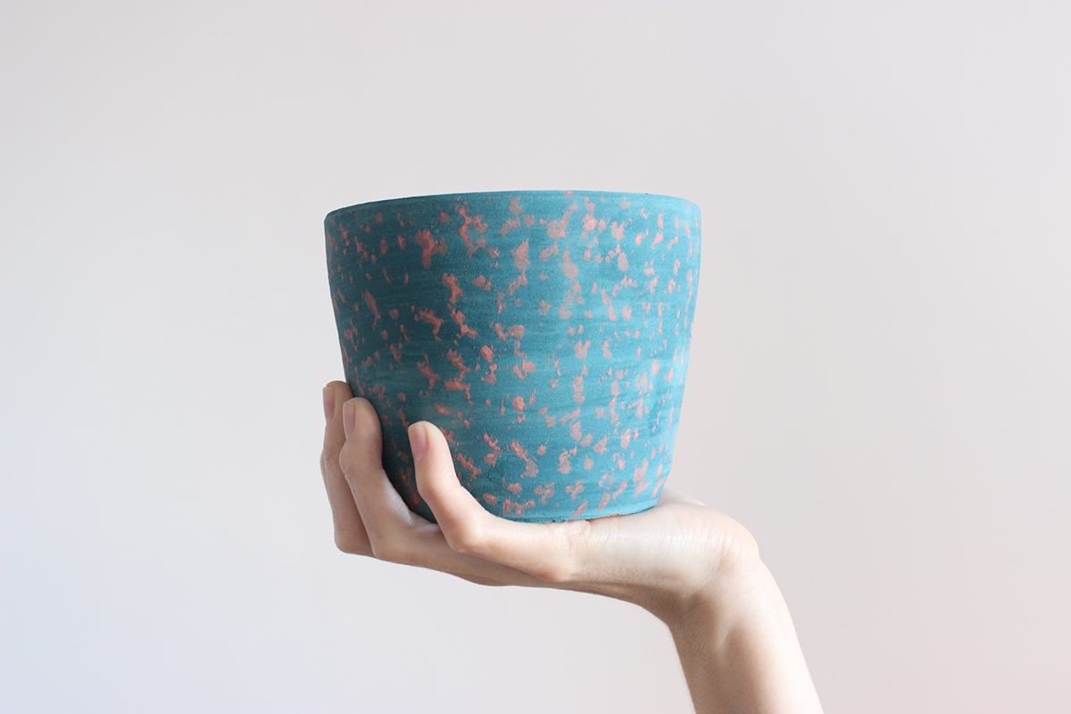 Rosa Arenas，Tache bowl，colour，