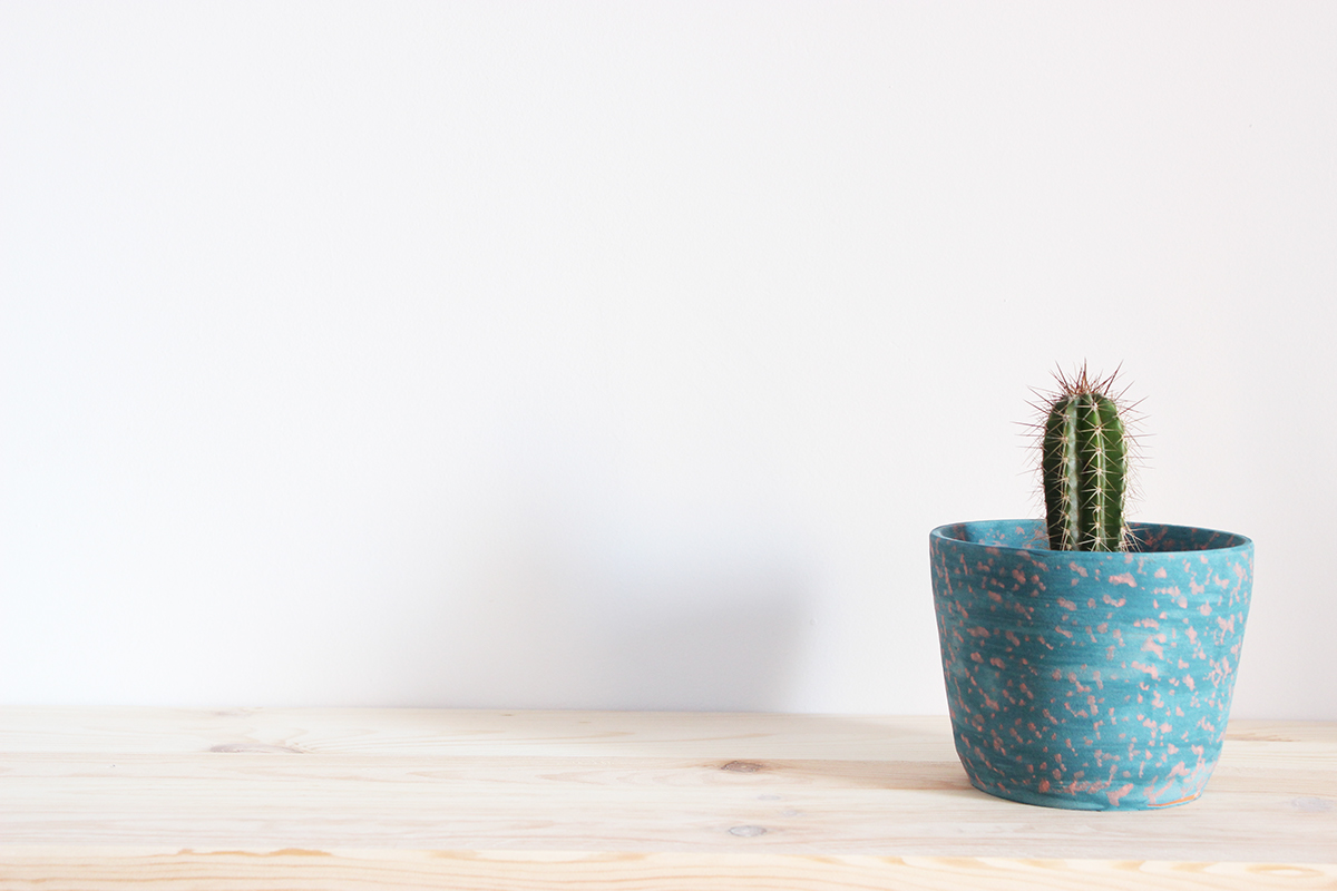 Rosa Arenas，Tache bowl，colour，