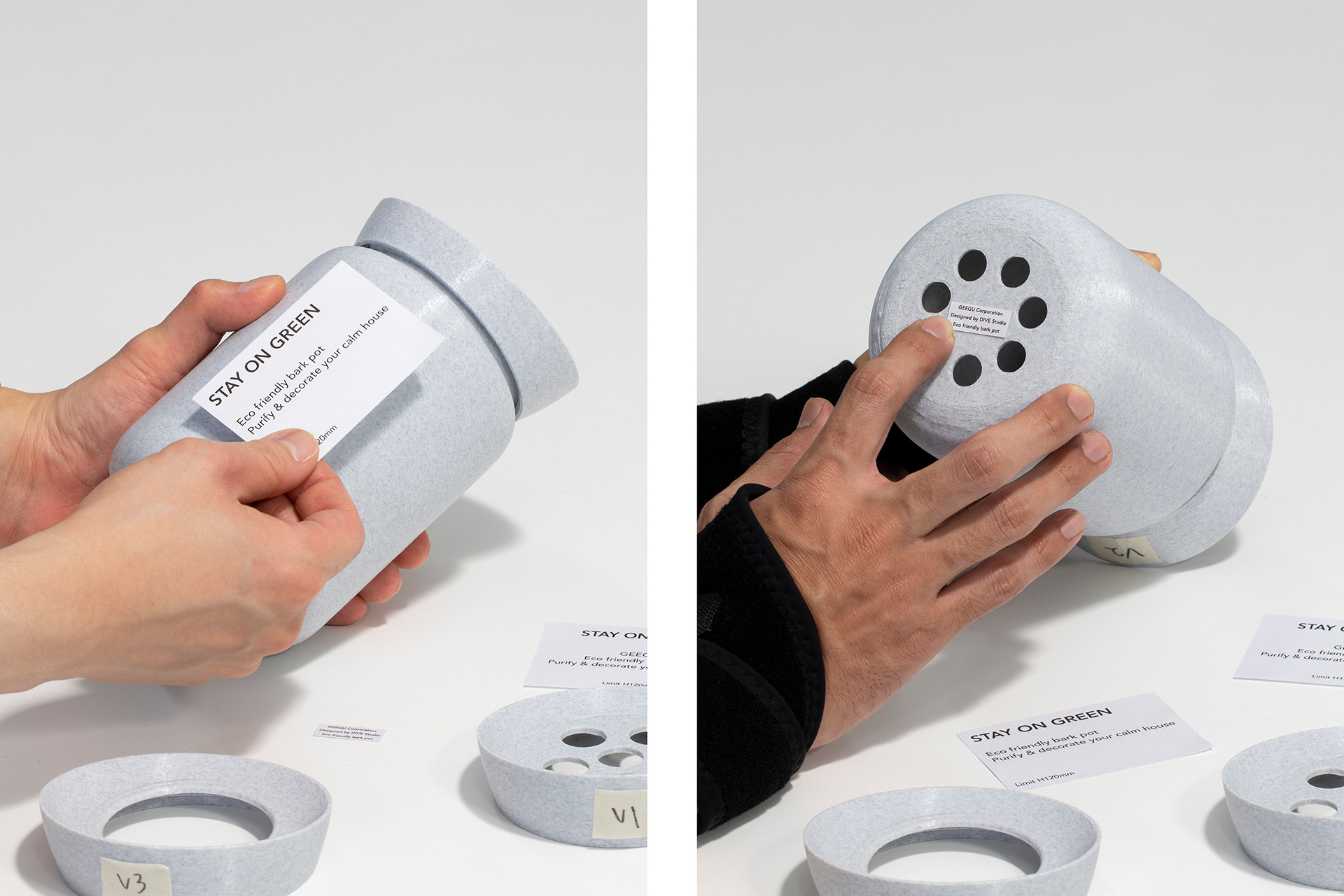 Botany，Flowerpot，Environmental protection plastic，