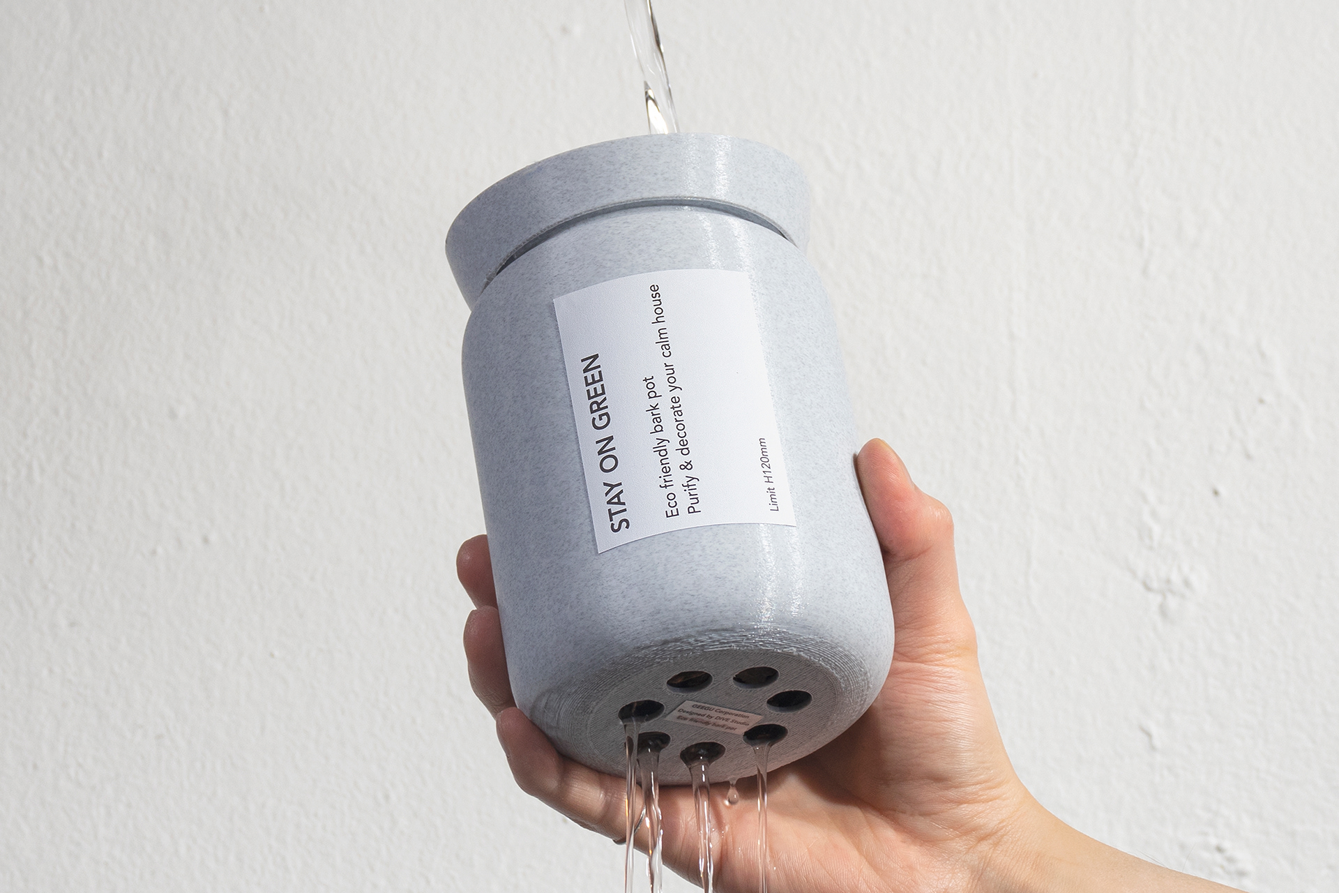 Botany，Flowerpot，Environmental protection plastic，