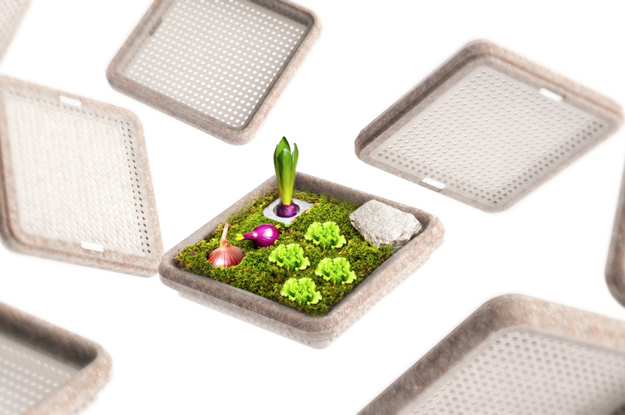 Ecological Center，Organic，regenerated plants，