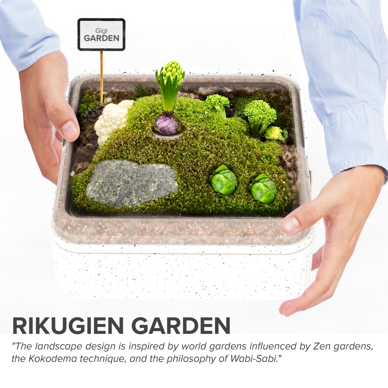 Ecological Center，Organic，regenerated plants，