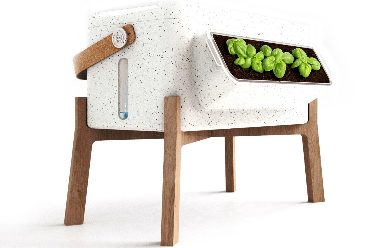 Ecological Center，Organic，regenerated plants，