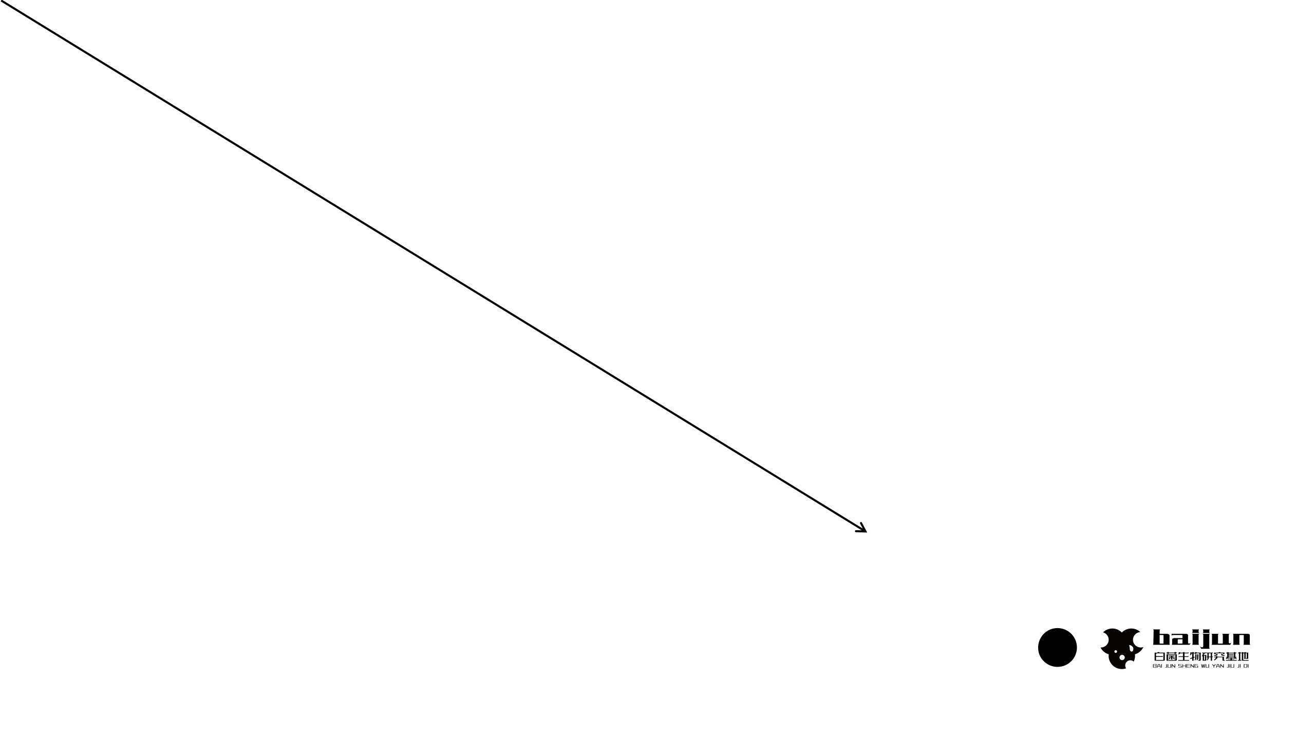 conceptual design，