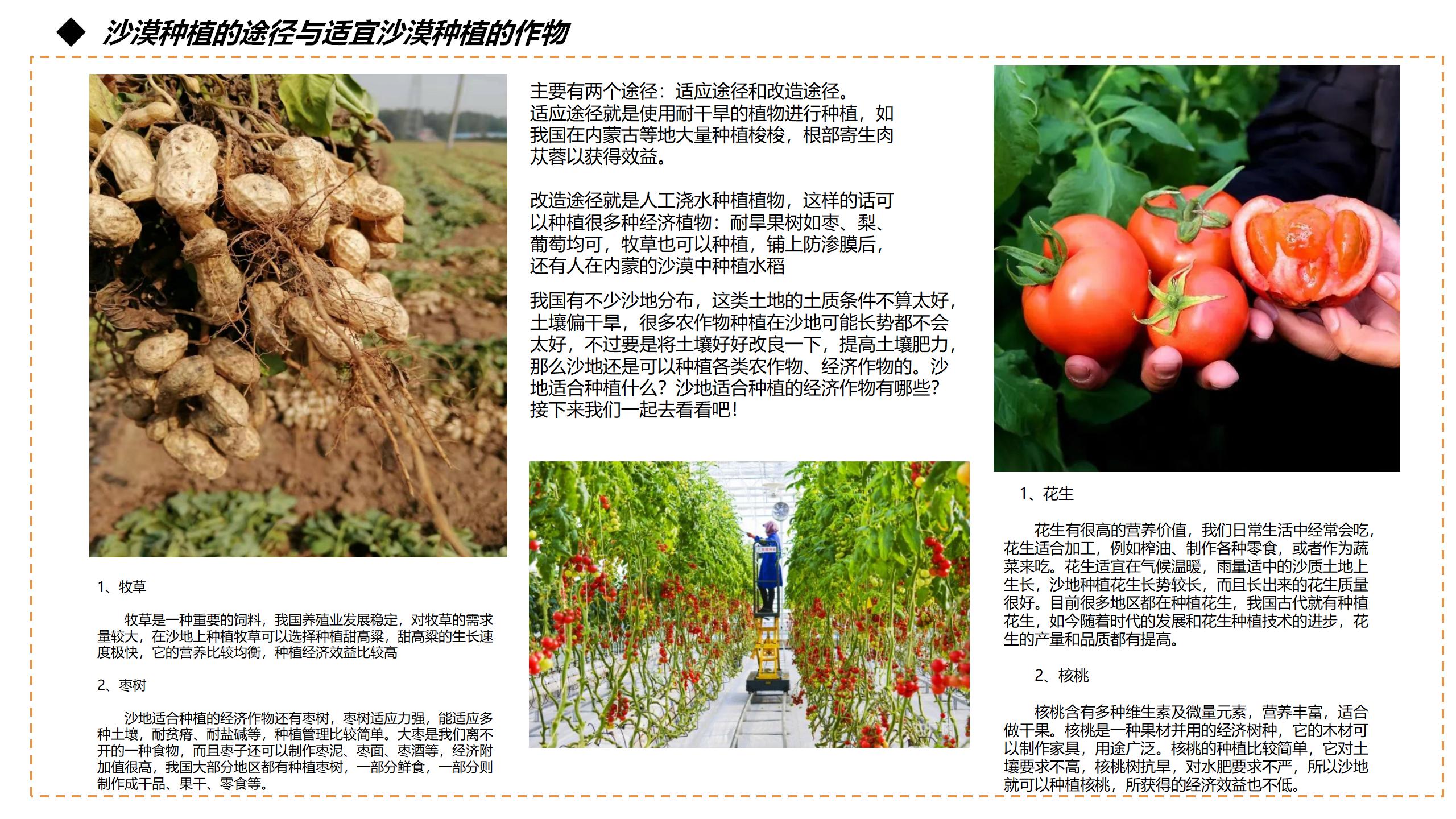 conceptual design，