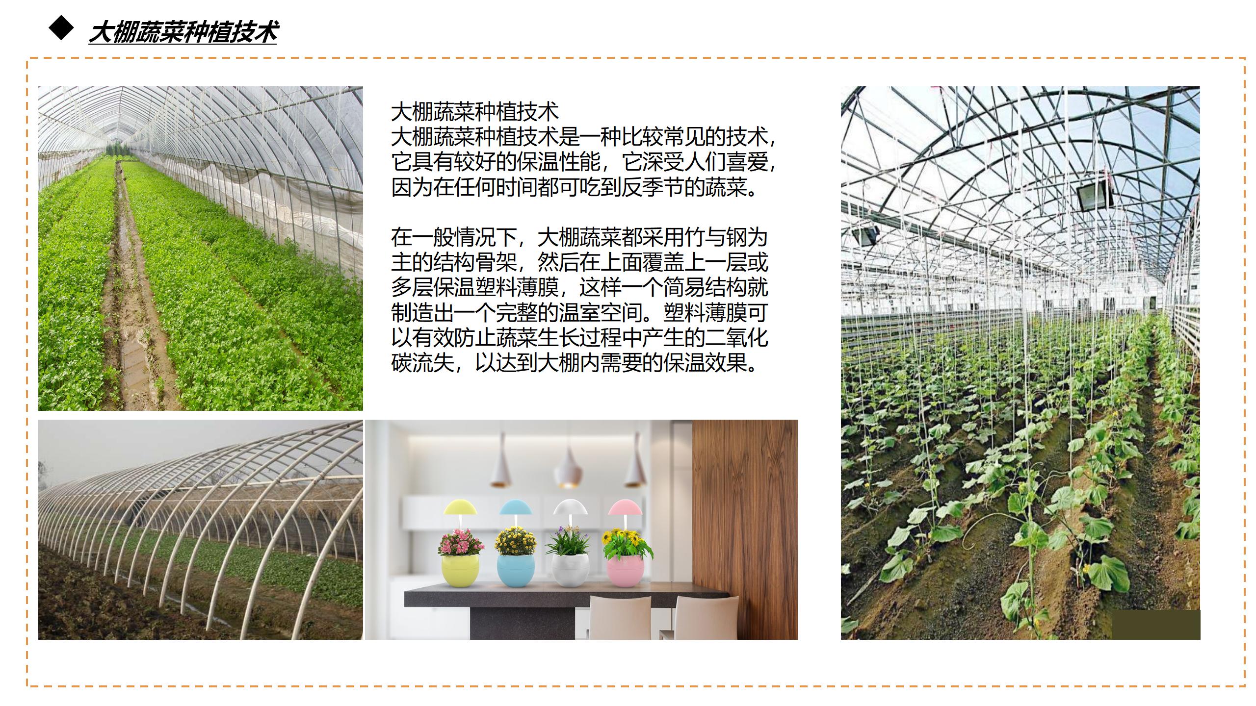 conceptual design，