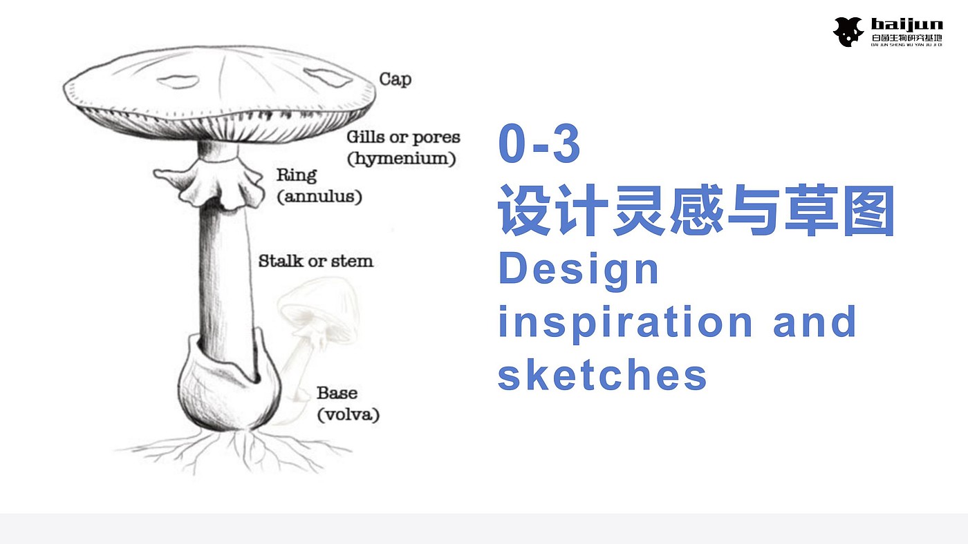 conceptual design，