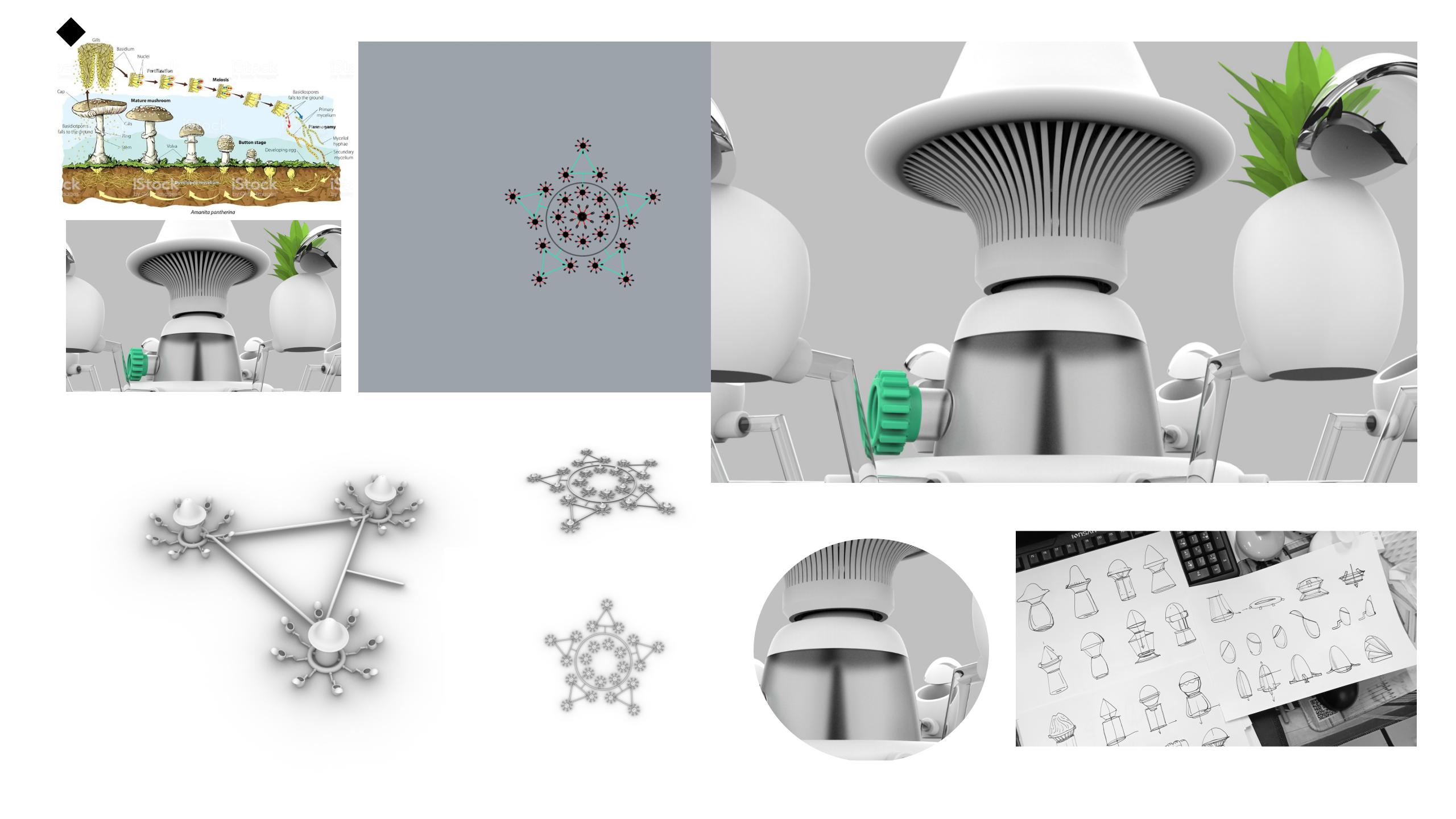 conceptual design，