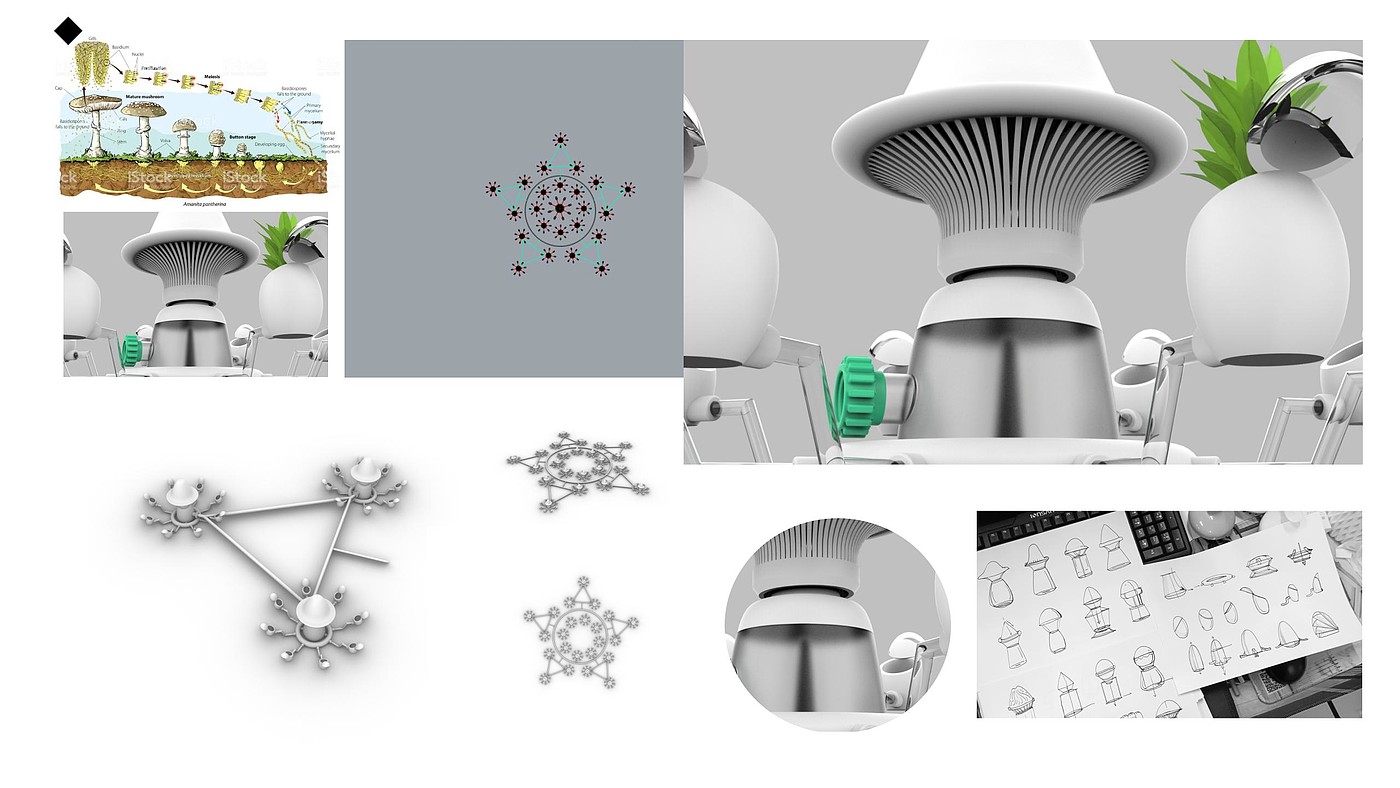 conceptual design，