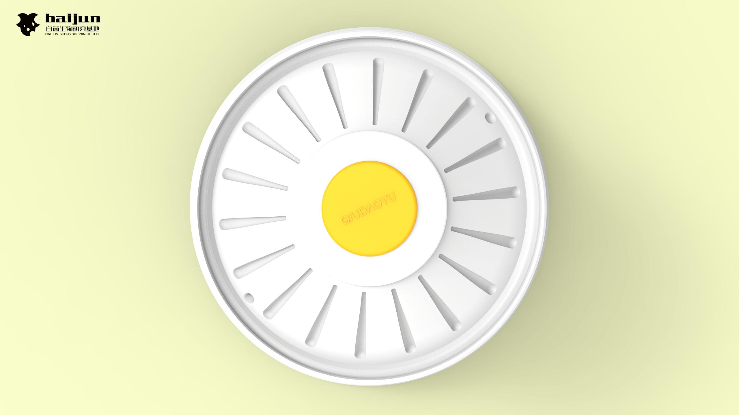 conceptual design，