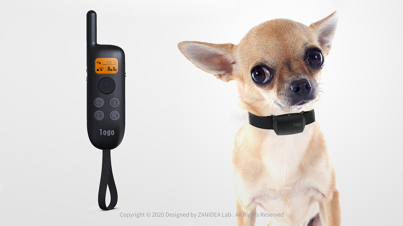 # Pet Training，