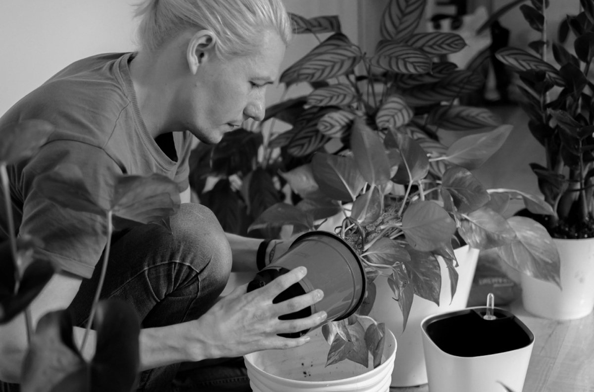 REGROW，Interaction design，originality，Indoor planter，