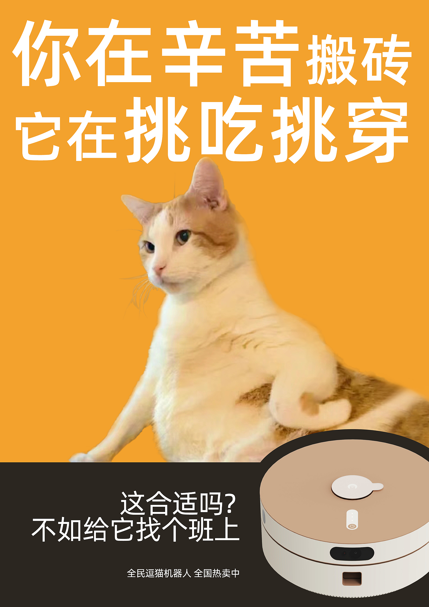 机器人，猫，萌宠，撸猫，全民参与，直播，互联网，智能，