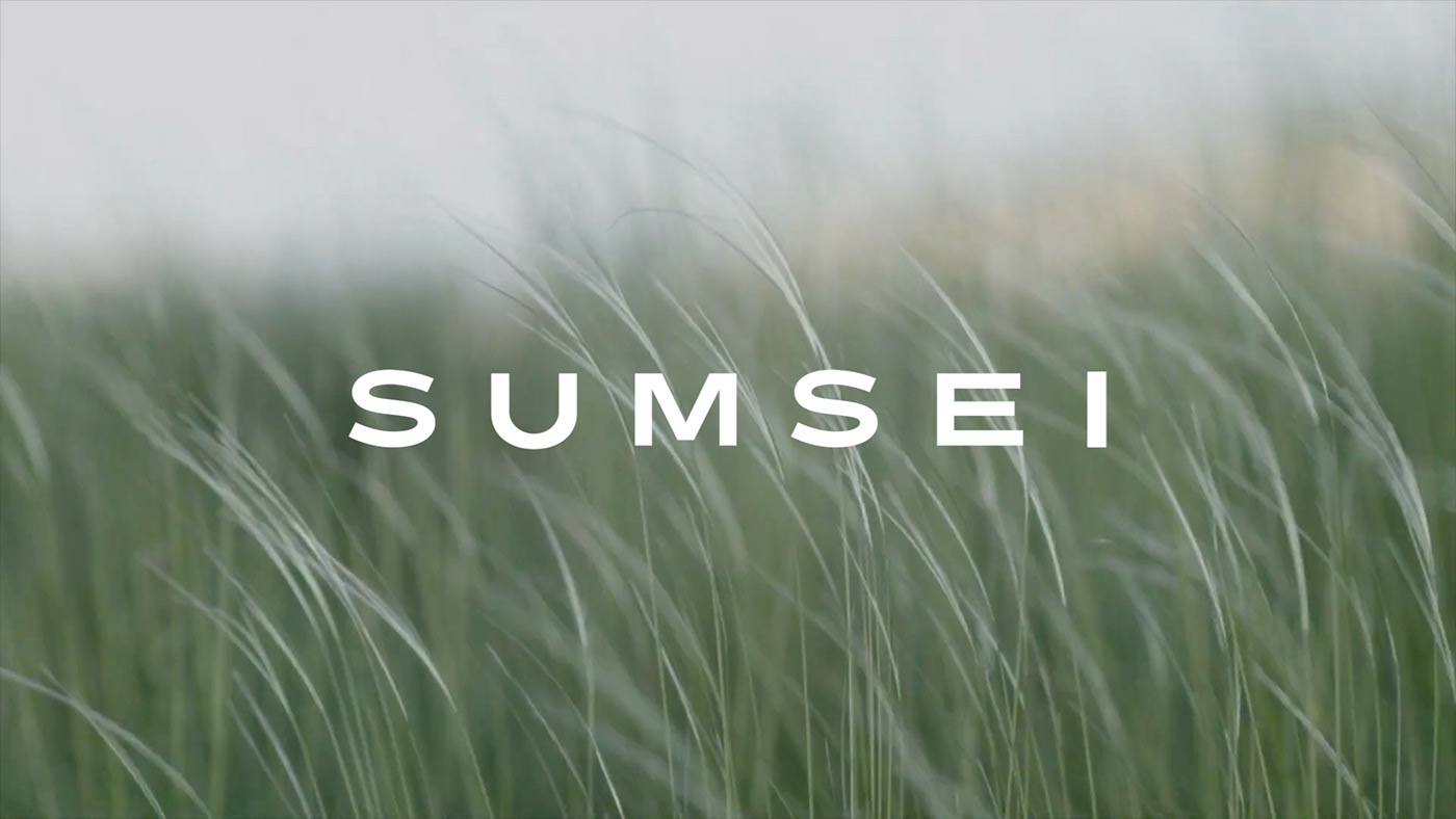 SilverLining warmer，Diffuser，Aromatherapy，small home appliances，