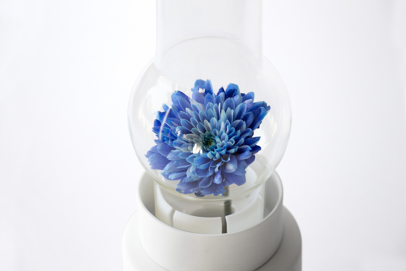 vase，ceramics，cylinder，Porcelain vase，Glass，Combination of ceramic and glass，fashion，Simplicity，blue，gules，white，