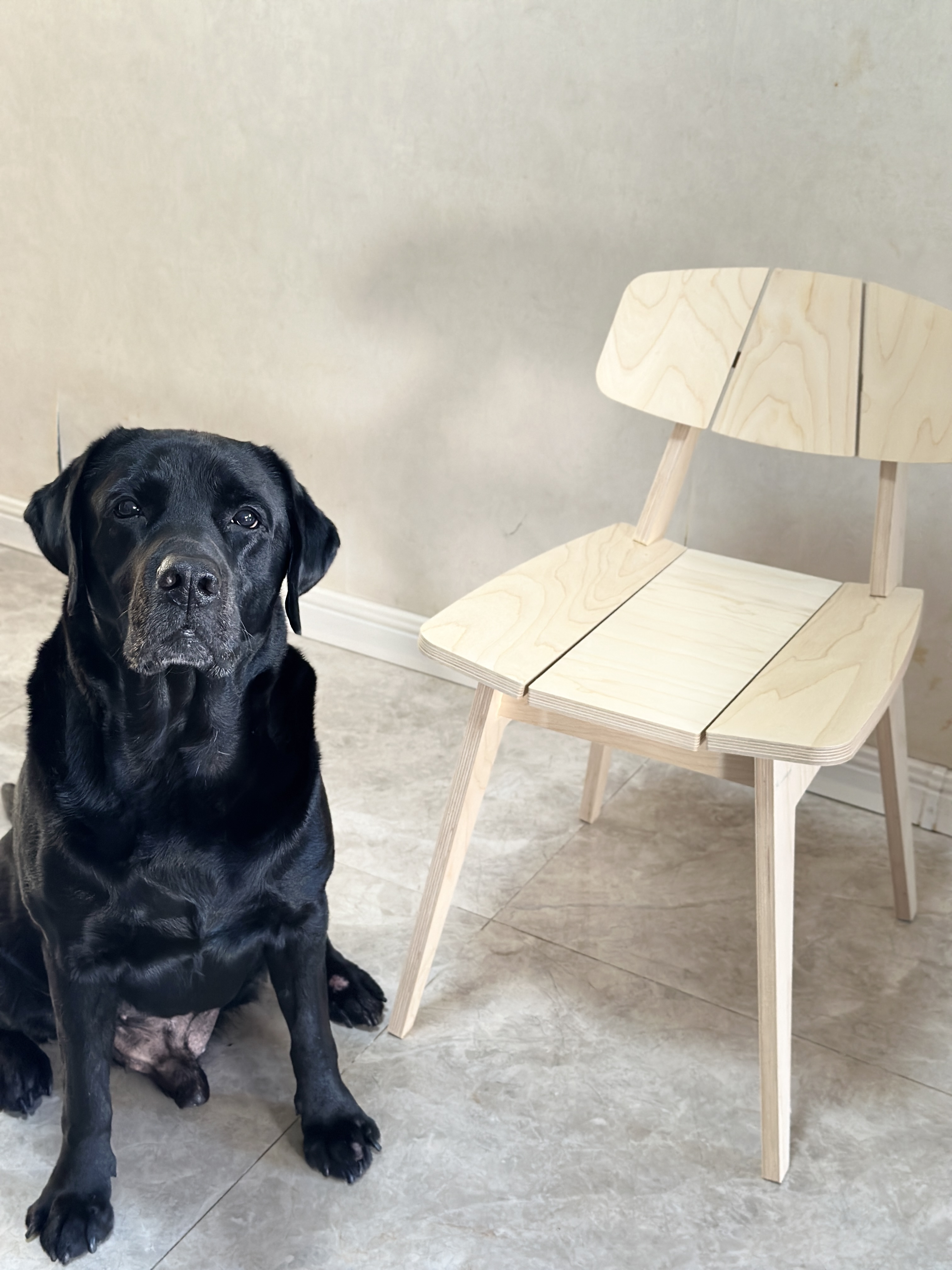 Simplified Dining Chair，