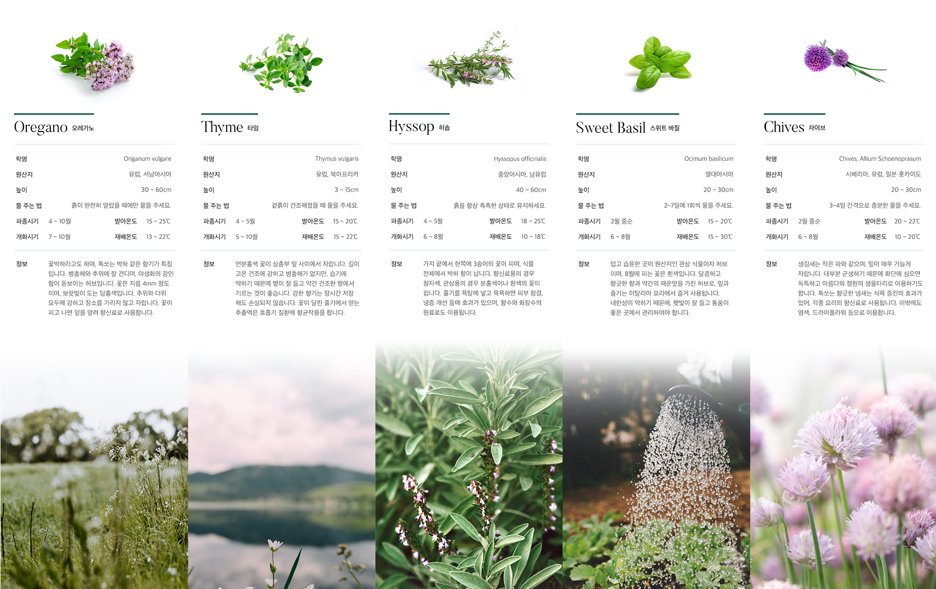 packing design，brand，Spray bottle，bottle，Design，