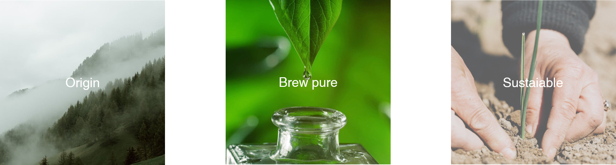 packing design，brand，Spray bottle，bottle，Design，