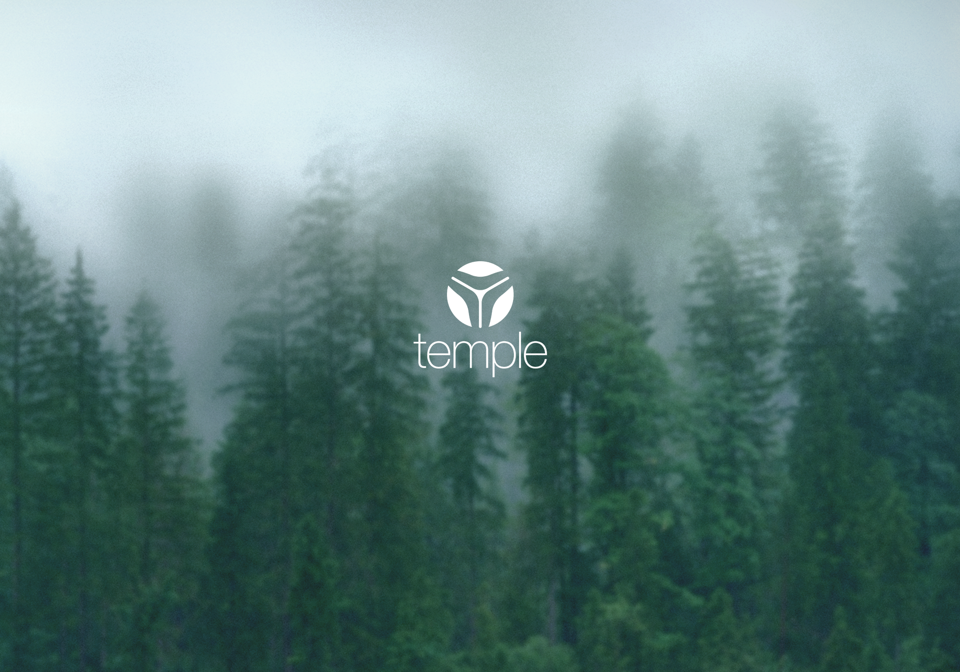 packing design，brand，Spray bottle，bottle，Design，