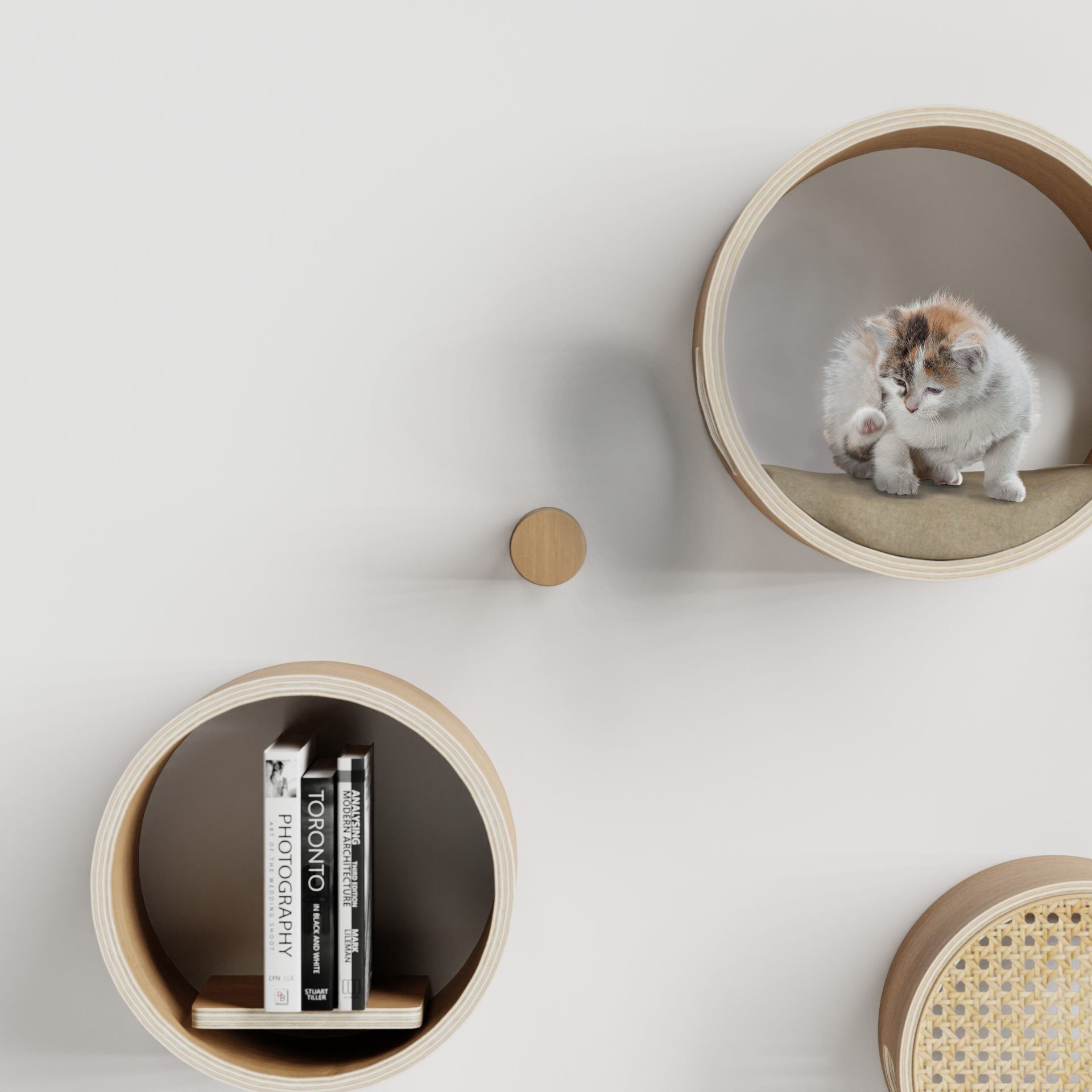 Bubbles，foam，cat，product design，Design，design，