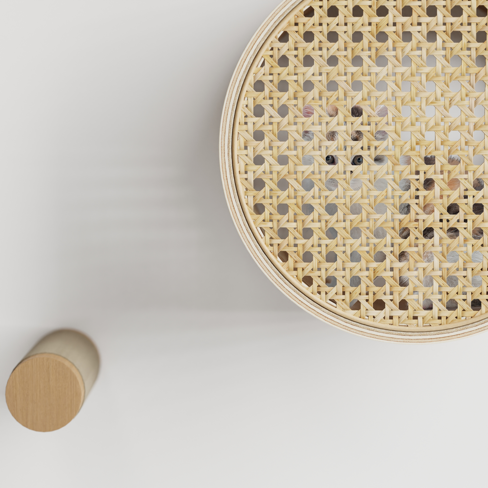 Bubbles，foam，cat，product design，Design，design，