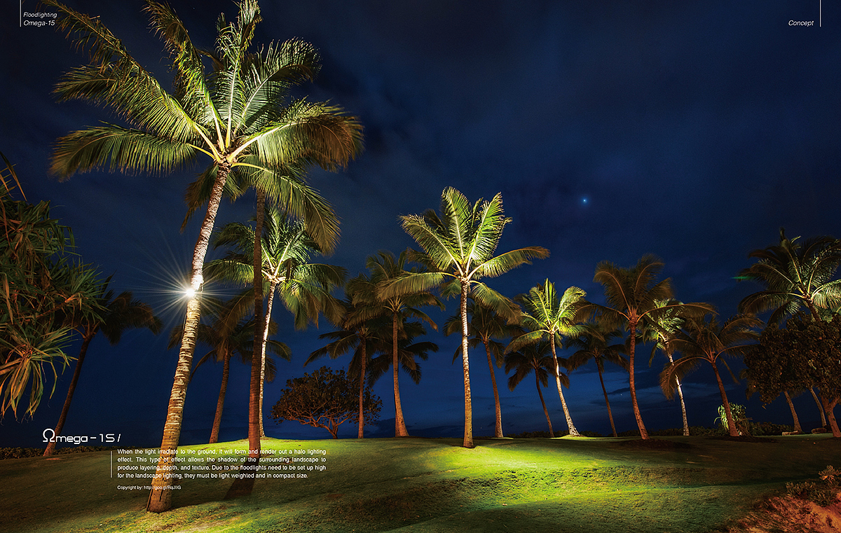 lamp，Floodlight，Landscape lighting，