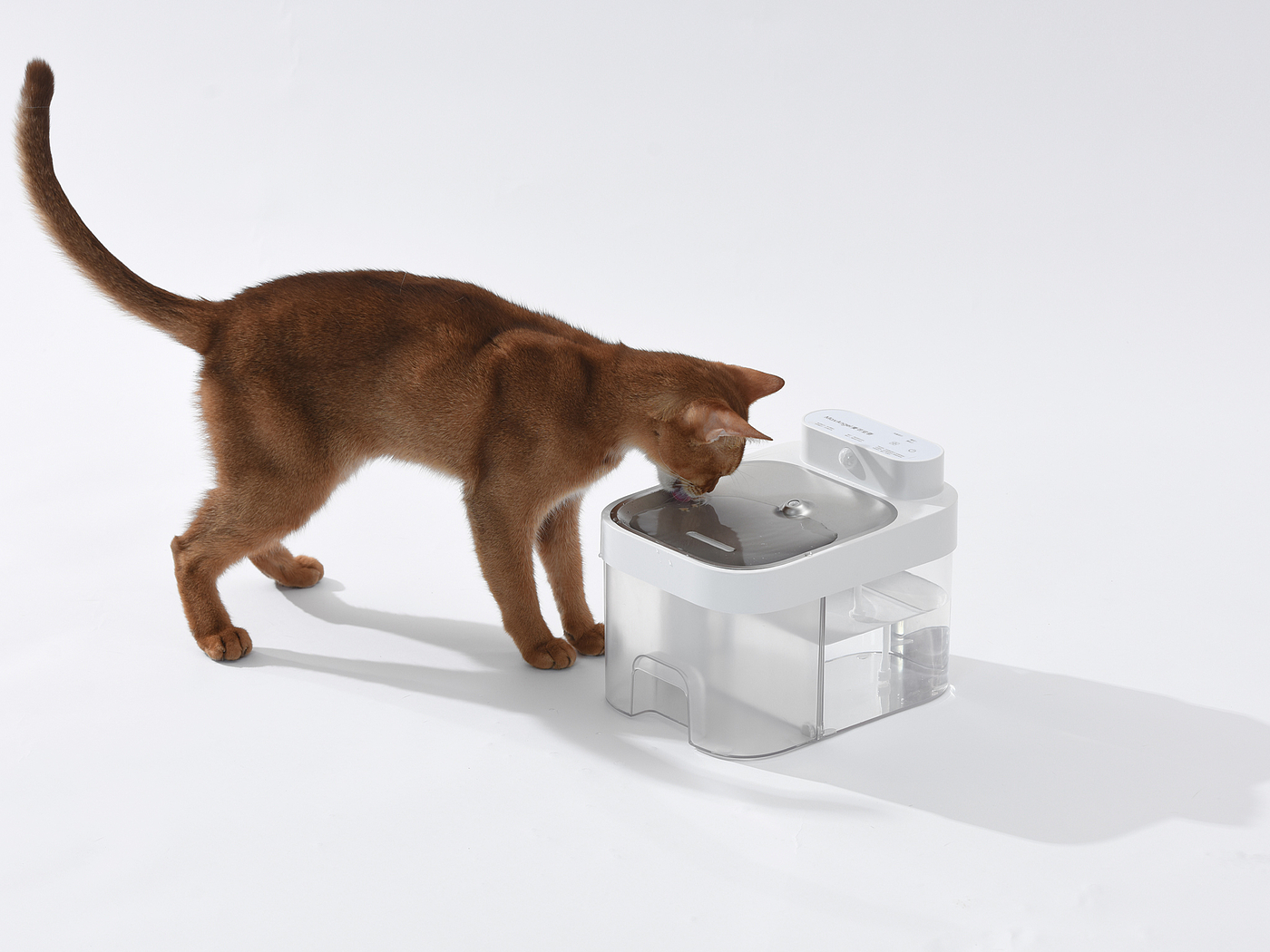 Clean dirt separation automatic water dispenser，Pet water dispenser，Pet products design，Gold standard design，Designer Xiong muguo，Pet water feeder，