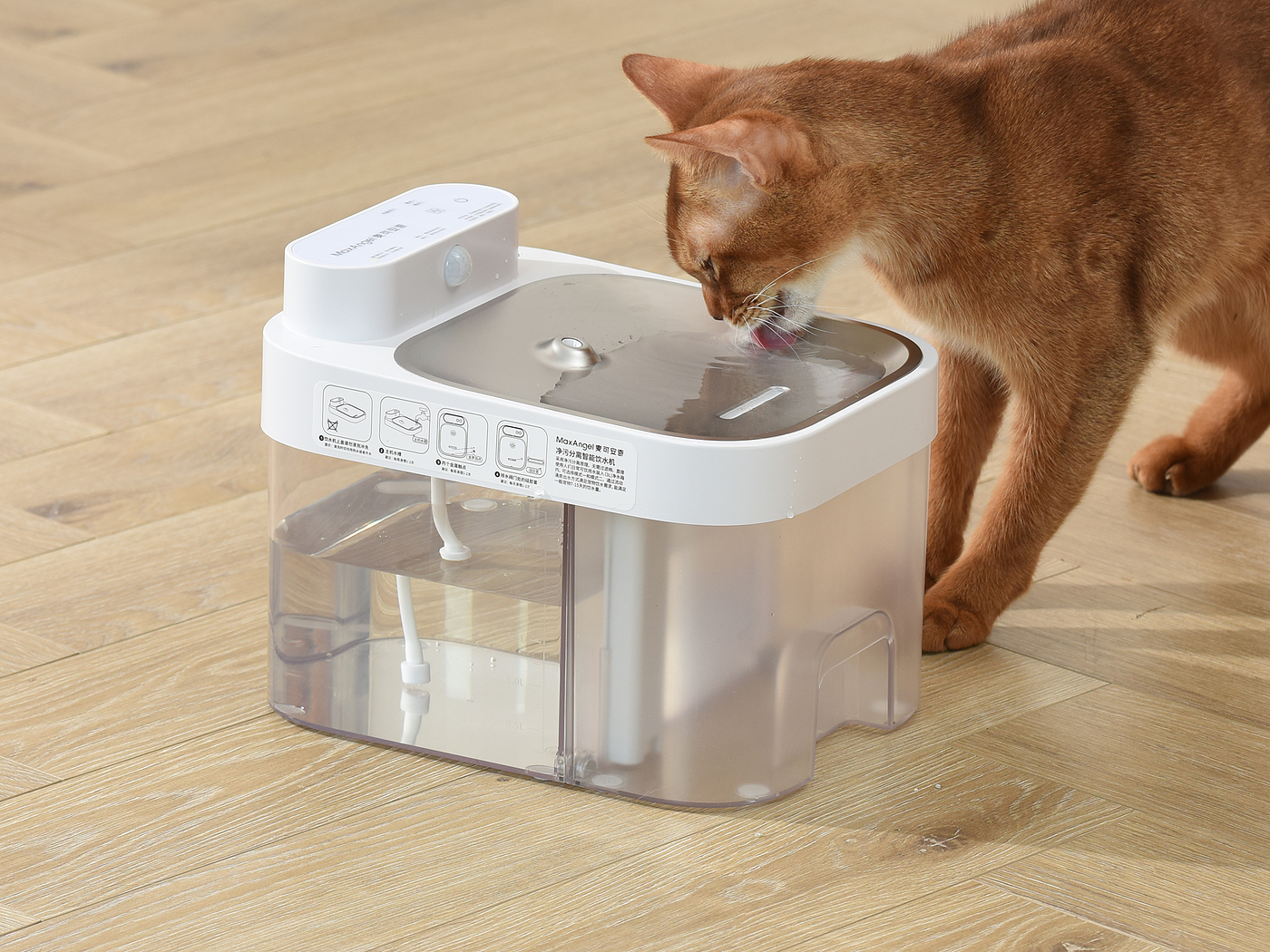 Clean dirt separation automatic water dispenser，Pet water dispenser，Pet products design，Gold standard design，Designer Xiong muguo，Pet water feeder，
