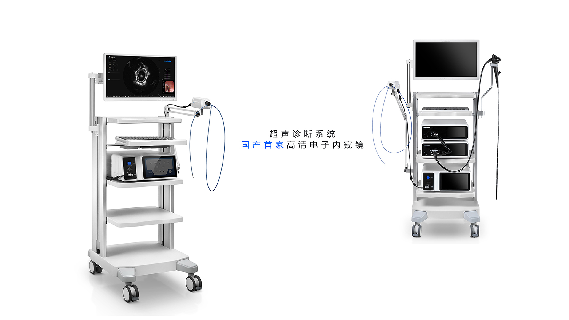 Professional medical treatment，medical apparatus and instruments，
