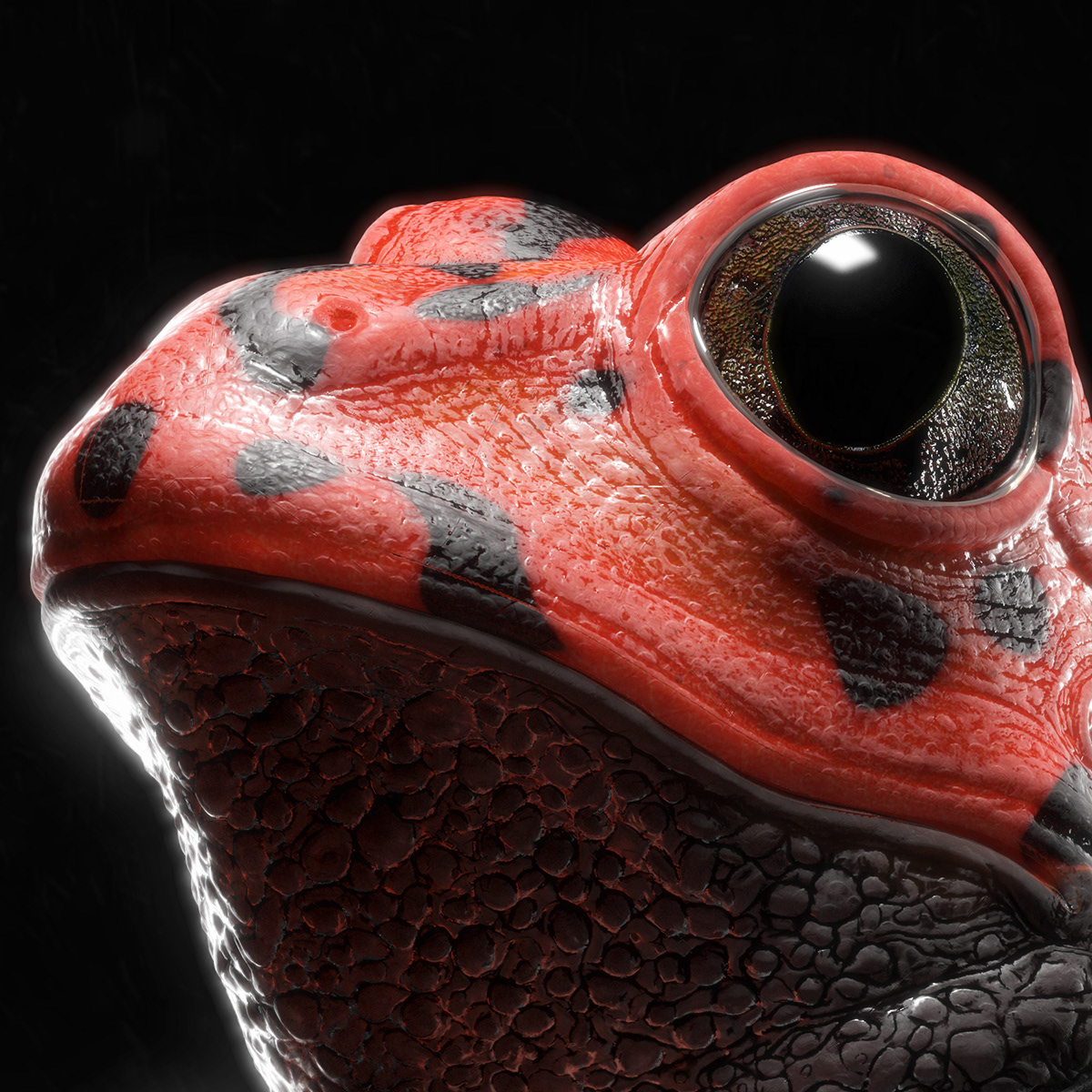 Render，modeling，Baby，