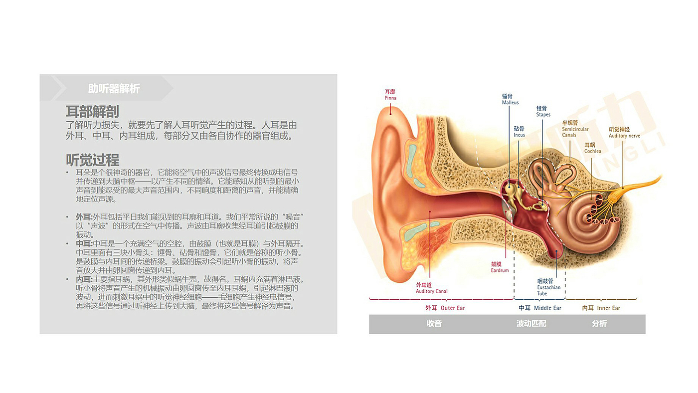 专业医疗，医疗器械，