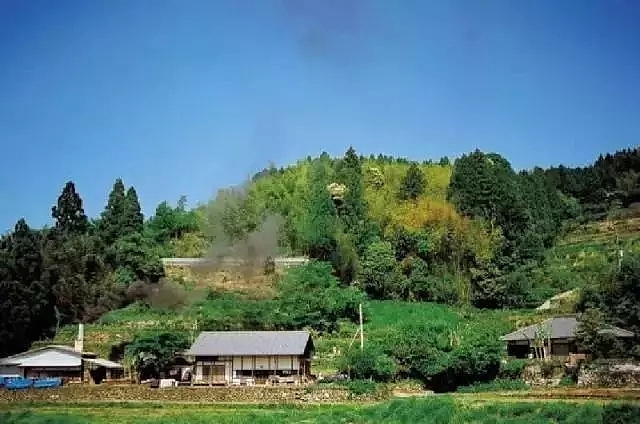 sushi bar，Michelin，Tang jinnanman，Kiln，Slice mouth，