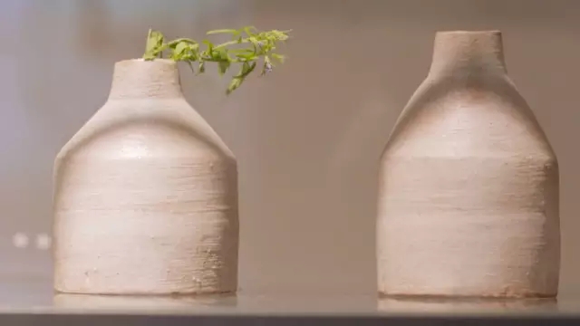 sushi bar，Michelin，Tang jinnanman，Kiln，Slice mouth，