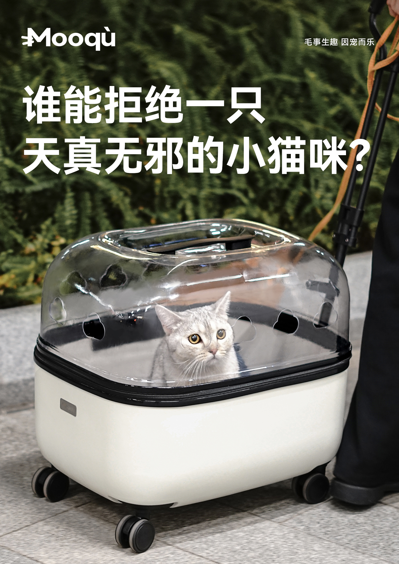 Pet cart，Pet products design，Cat Cart，Pet trolley case，Pet Appearance Design，Pet structure design，