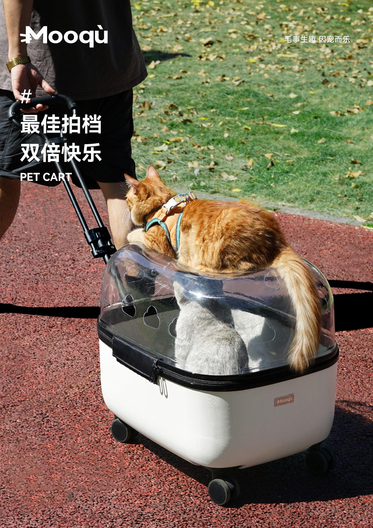 Pet cart，Pet products design，Cat Cart，Pet trolley case，Pet Appearance Design，Pet structure design，