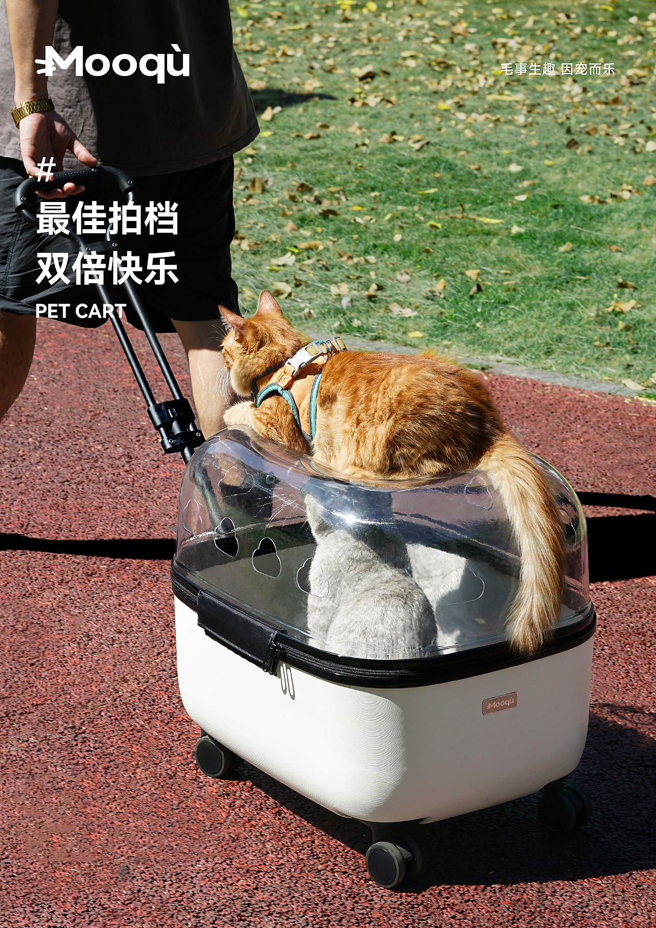 Pet cart，Pet products design，Cat Cart，Pet trolley case，Pet Appearance Design，Pet structure design，