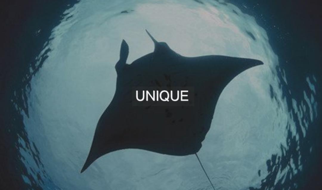 TOALL Convex and Concave Design，Router，Xinhua three，