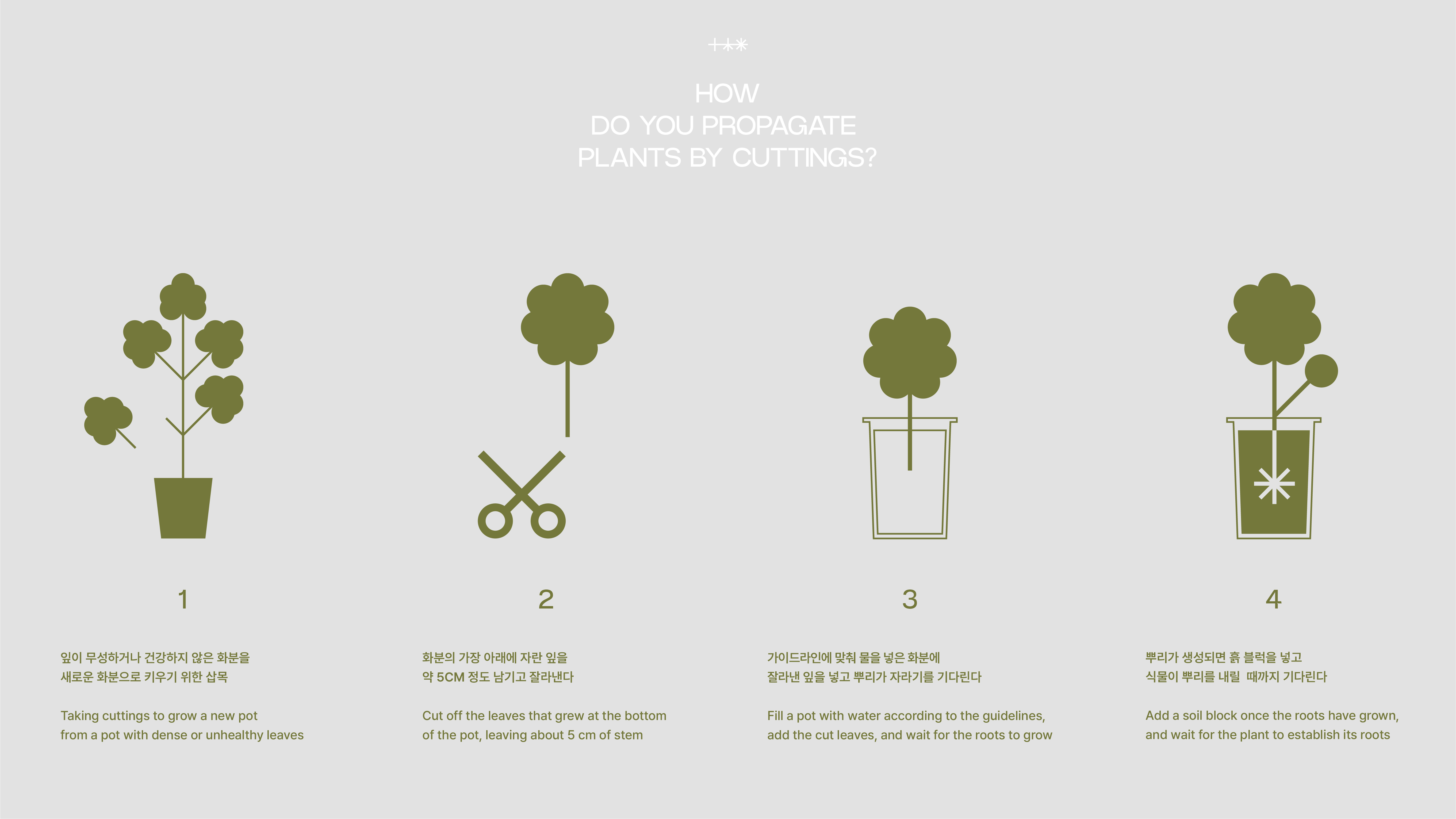 3d，industrial design，product design，product，Plant，PURI，