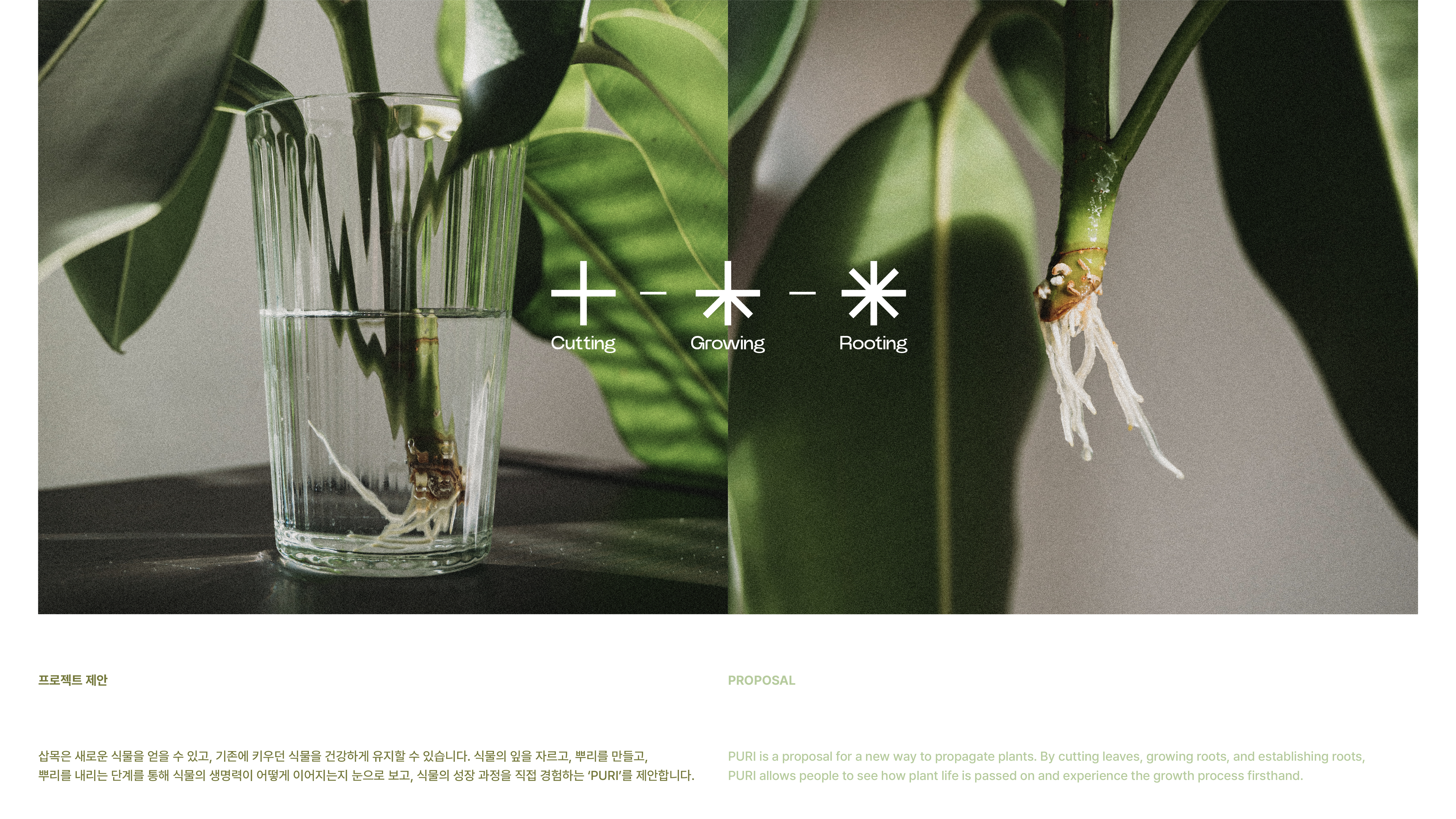 3d，industrial design，product design，product，Plant，PURI，