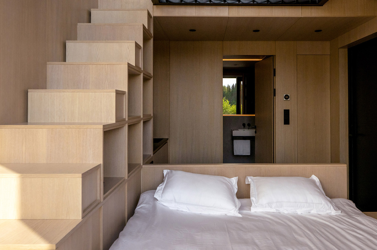 Tree House，on vacation，Architecture，house，Design，design，