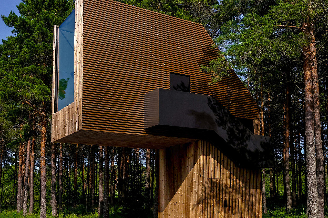 Tree House，on vacation，Architecture，house，Design，design，