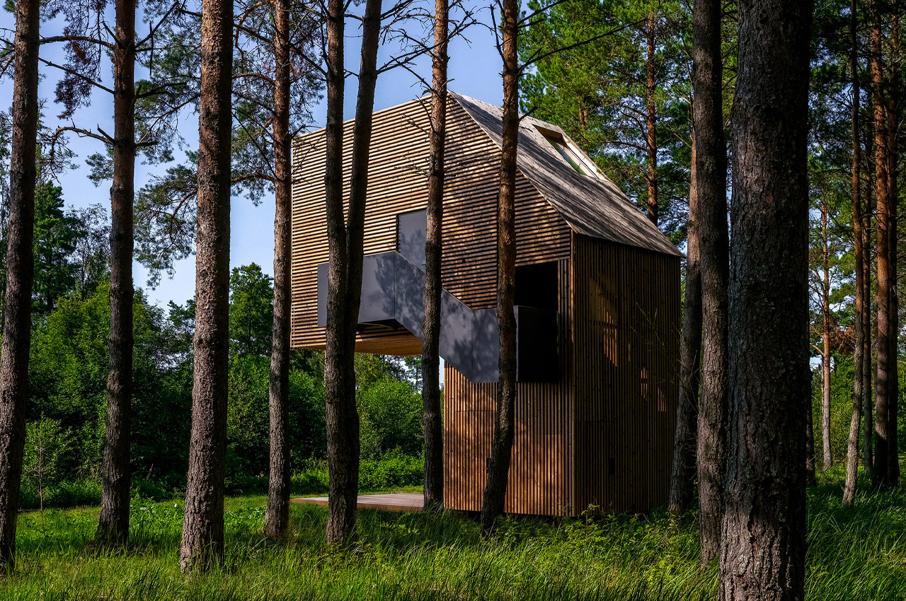 Tree House，on vacation，Architecture，house，Design，design，