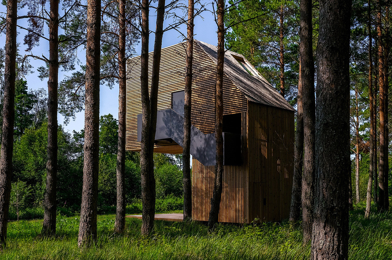 Tree House，on vacation，Architecture，house，Design，design，