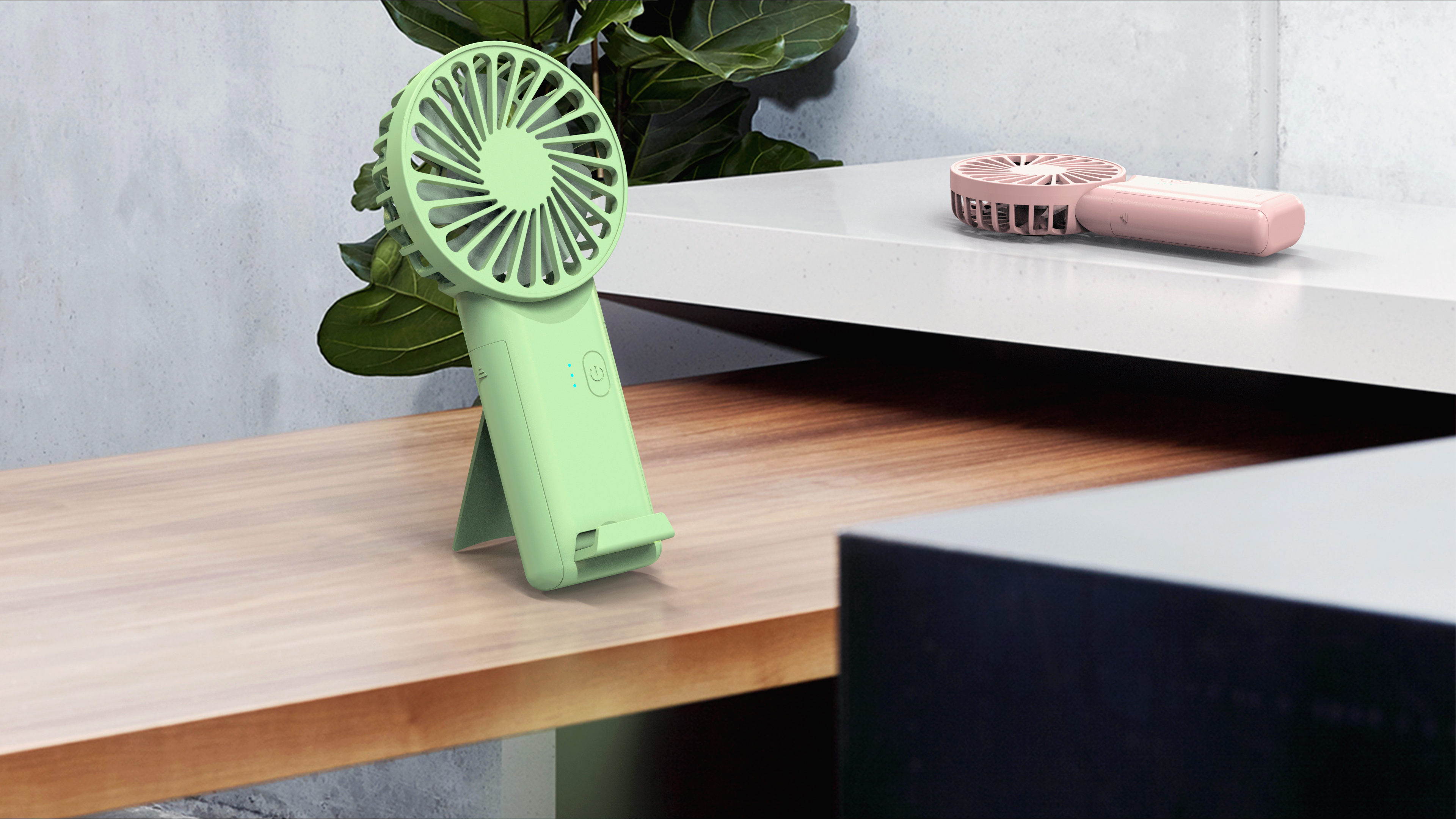 Listing Year Season: Spring 2022，